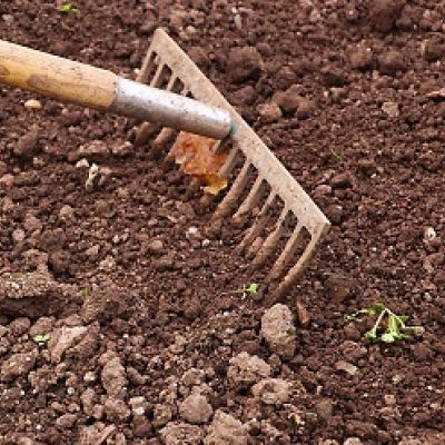 Rake in Soil | Plant Health Care by Burkholder Landscape